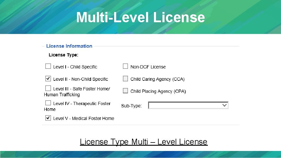 Multi-Level License Type Multi – Level License 