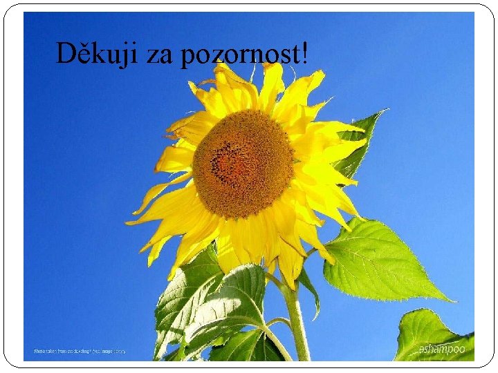 Děkuji za pozornost! 
