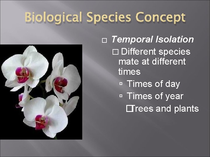Biological Species Concept � Temporal Isolation � Different species mate at different times Times