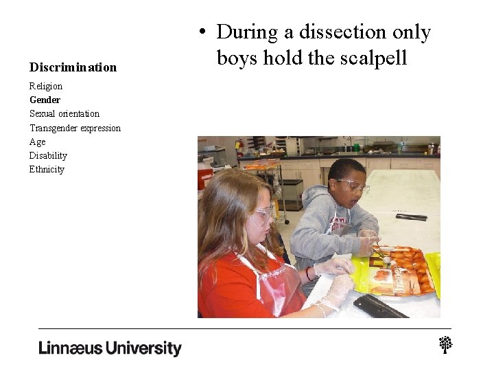 Discrimination Religion Gender Sexual orientation Transgender expression Age Disability Ethnicity • During a dissection