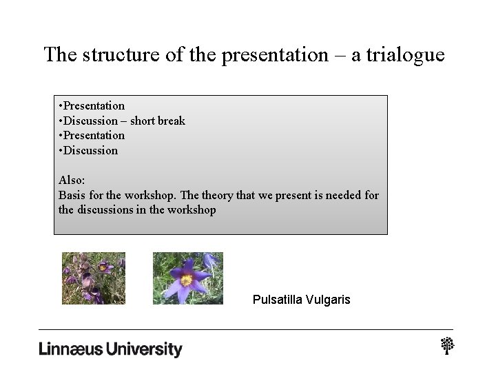 The structure of the presentation – a trialogue • Presentation • Discussion – short