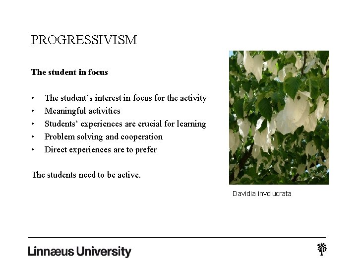 PROGRESSIVISM The student in focus • • • The student’s interest in focus for