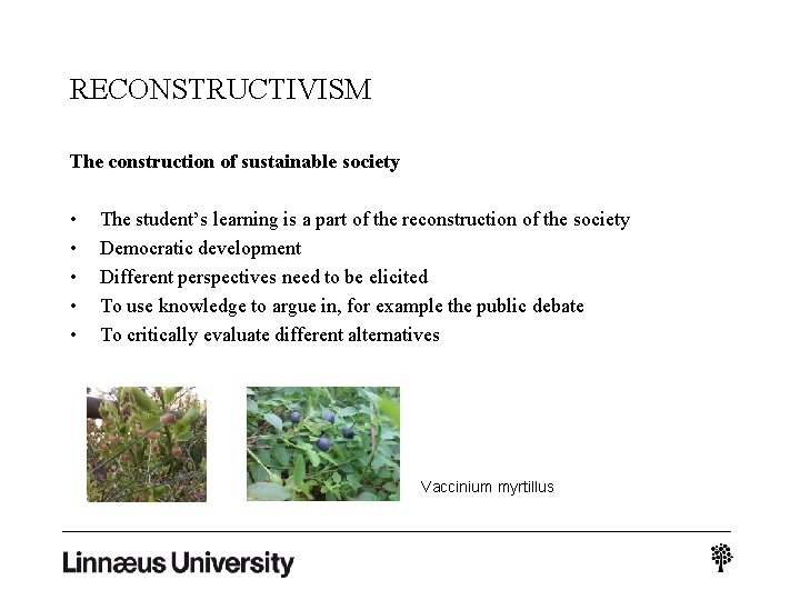 RECONSTRUCTIVISM The construction of sustainable society • • • The student’s learning is a