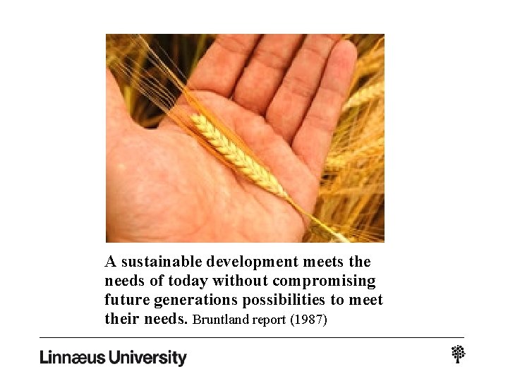 A sustainable development meets the needs of today without compromising future generations possibilities to