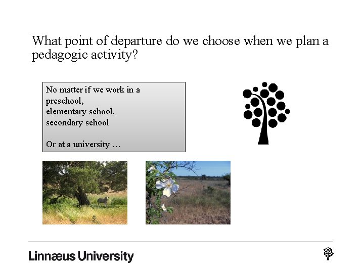 What point of departure do we choose when we plan a pedagogic activity? No