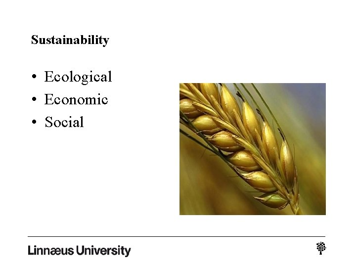 Sustainability • Ecological • Economic • Social 