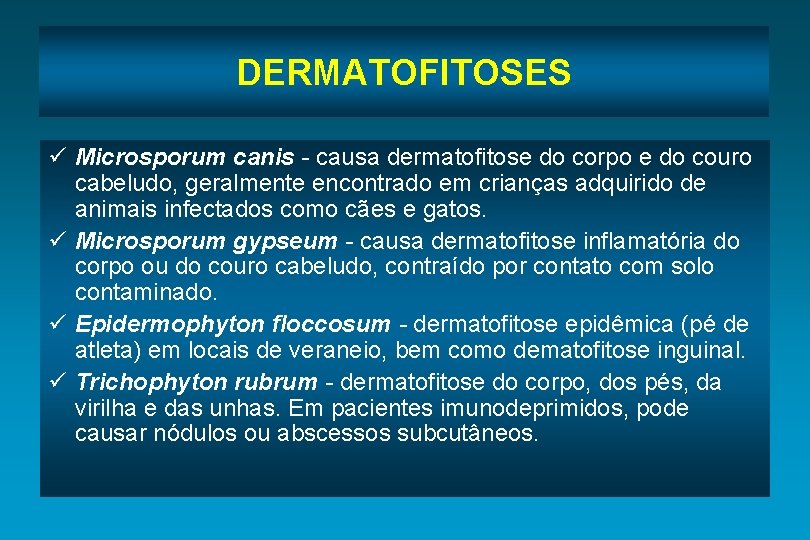 DERMATOFITOSES ü Microsporum canis - causa dermatofitose do corpo e do couro cabeludo, geralmente