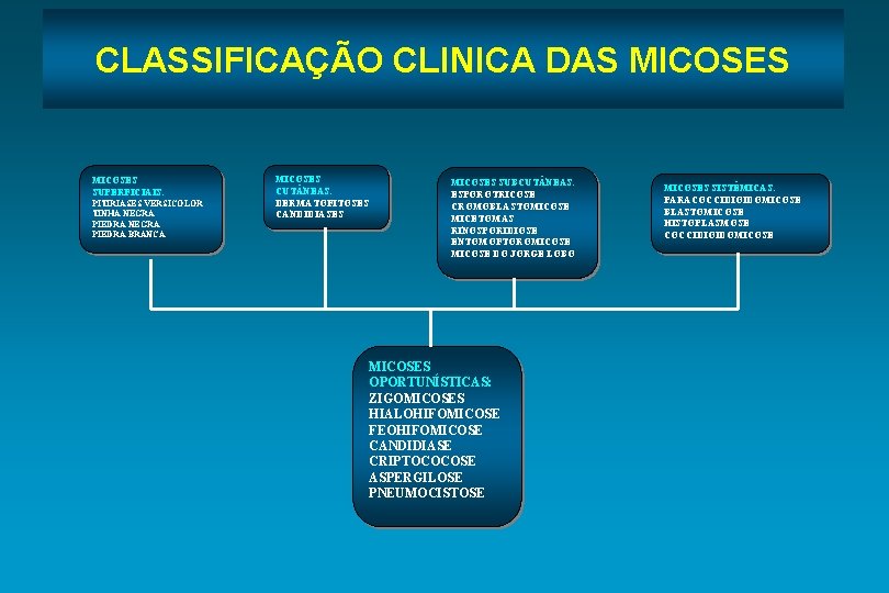 CLASSIFICAÇÃO CLINICA DAS MICOSES SUPERFICIAIS: PITIRIASES VERSICOLOR TINHA NEGRA PIEDRA BRANCA MICOSES CUT NEAS: