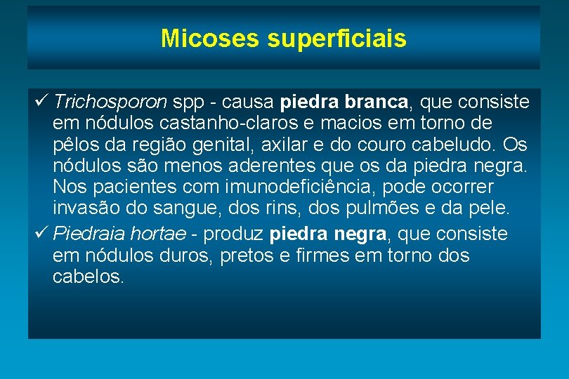 Micoses superficiais ü Trichosporon spp - causa piedra branca, que consiste em nódulos castanho-claros