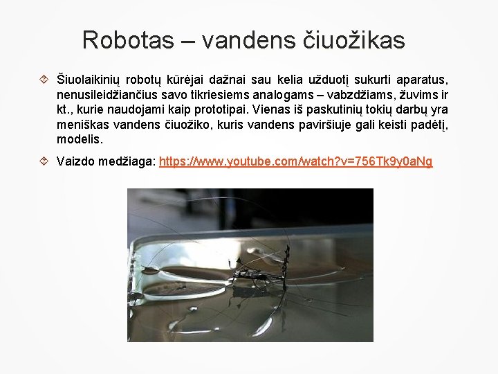 Robotas – vandens čiuožikas Šiuolaikinių robotų kūrėjai dažnai sau kelia užduotį sukurti aparatus, nenusileidžiančius