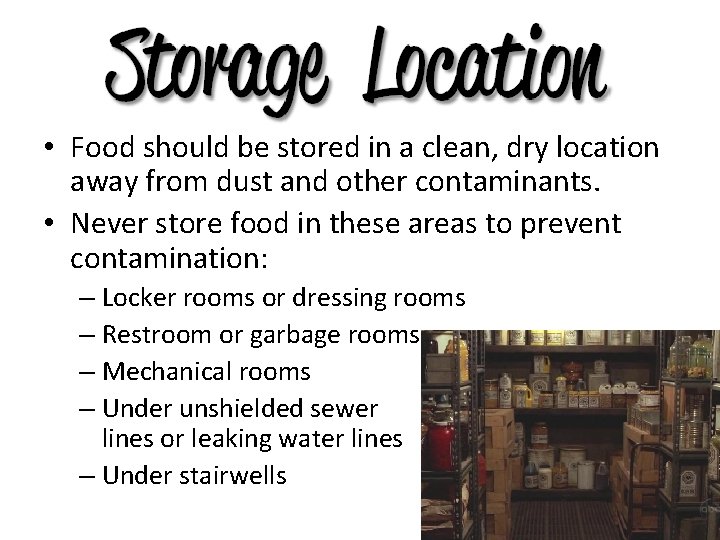  • Food should be stored in a clean, dry location away from dust