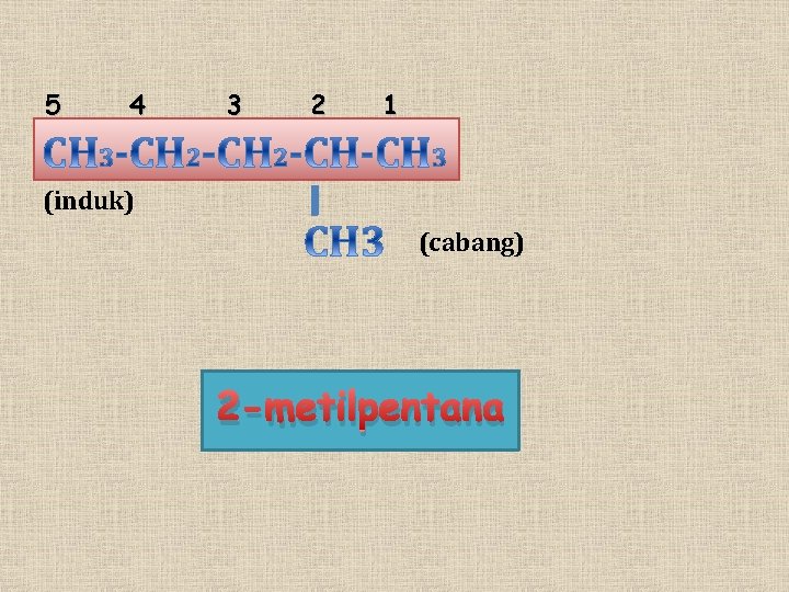 5 4 3 2 1 (induk) (cabang) 2 -metilpentana 