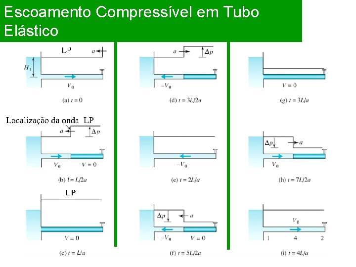 Escoamento Compressível em Tubo Elástico 