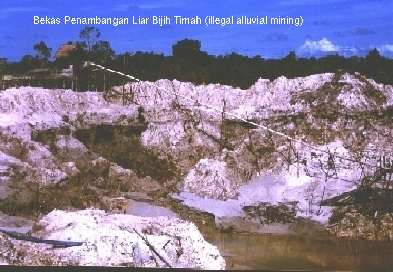 Bekas Penambangan Liar Bijih Timah (illegal alluvial mining) 