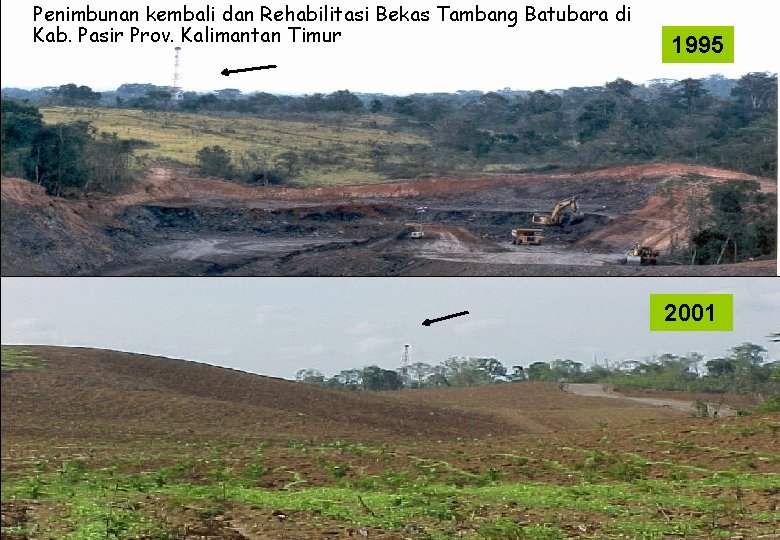 Penimbunan kembali dan Rehabilitasi Bekas Tambang Batubara di Kab. Pasir Prov. Kalimantan Timur 1995