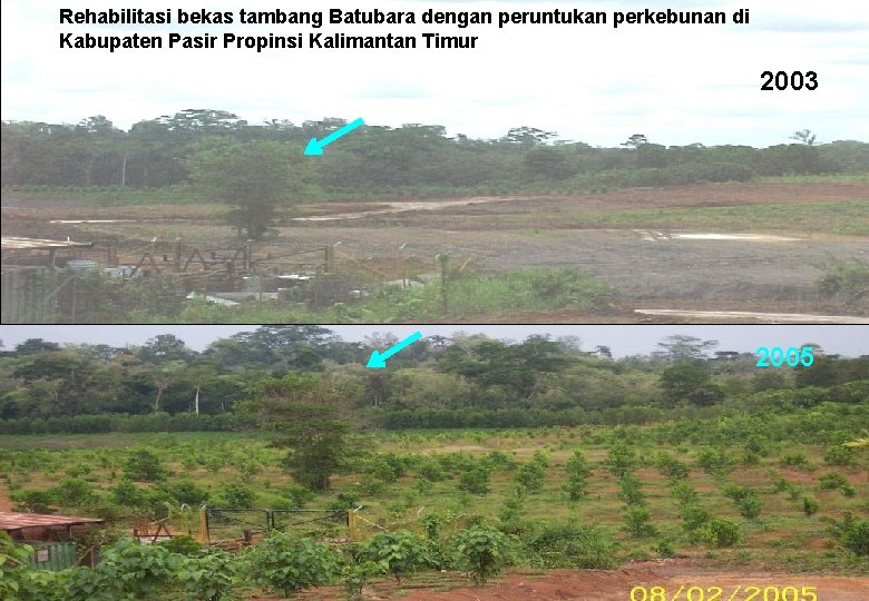 Rehabilitasi bekas tambang Batubara dengan peruntukan perkebunan di Kabupaten Pasir Propinsi Kalimantan Timur 2003