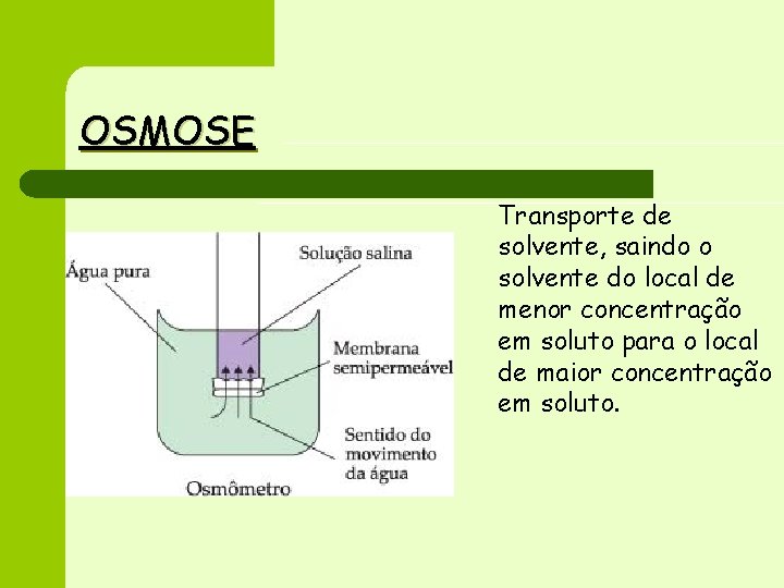 OSMOSE Transporte de solvente, saindo o solvente do local de menor concentração em soluto