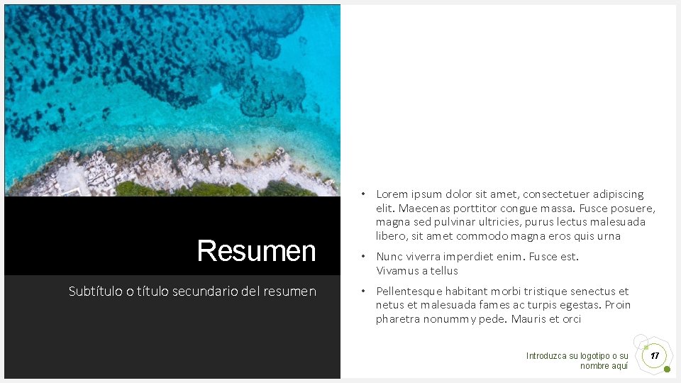 Resumen Subtítulo o título secundario del resumen • Lorem ipsum dolor sit amet, consectetuer