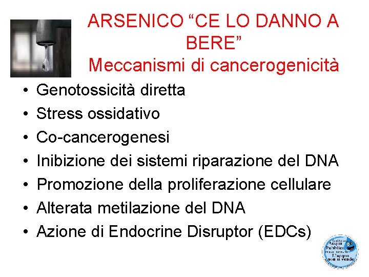 ARSENICO “CE LO DANNO A BERE” Meccanismi di cancerogenicità • • Genotossicità diretta Stress