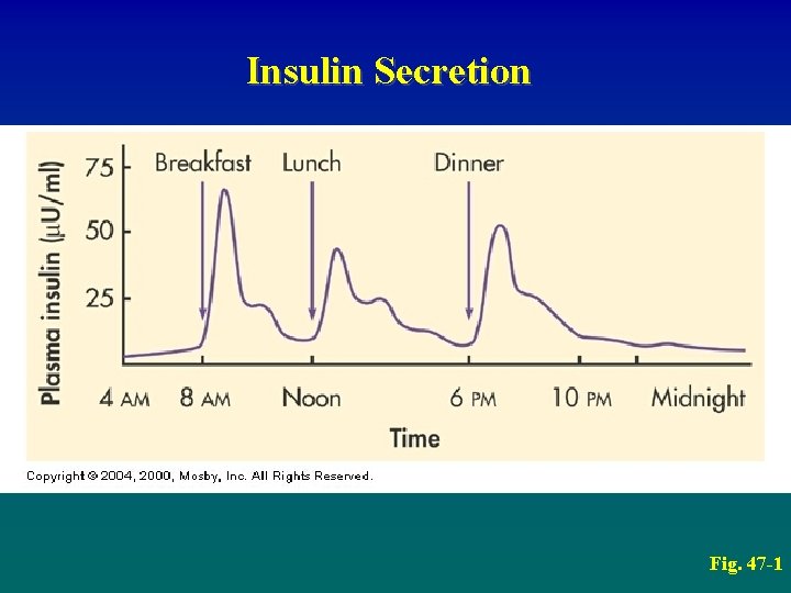 Insulin Secretion Fig. 47 -1 