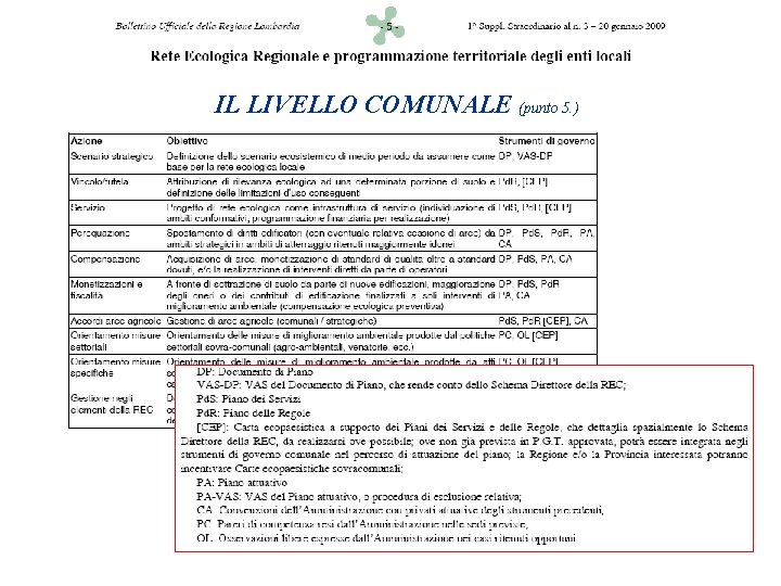 IL LIVELLO COMUNALE (punto 5. ) 