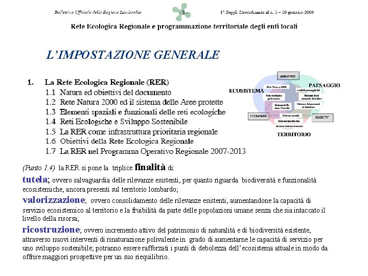 L’IMPOSTAZIONE GENERALE (Punto 1. 4) la RER si pone la triplice finalità di: tutela;