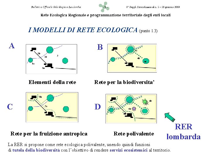 I MODELLI DI RETE ECOLOGICA (punto 1. 3) A B Elementi della rete C