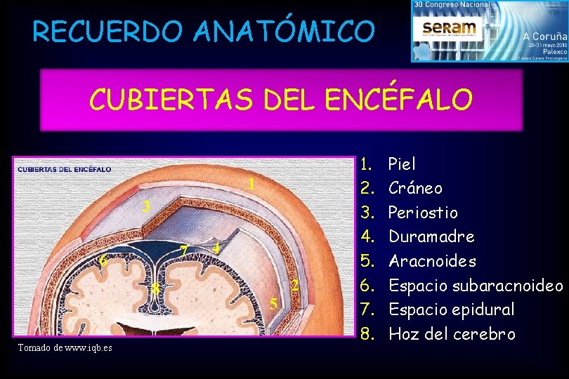 RECUERDO ANATÓMICO CUBIERTAS DEL ENCÉFALO 1 3 7 6 8 Tomado de www. iqb.