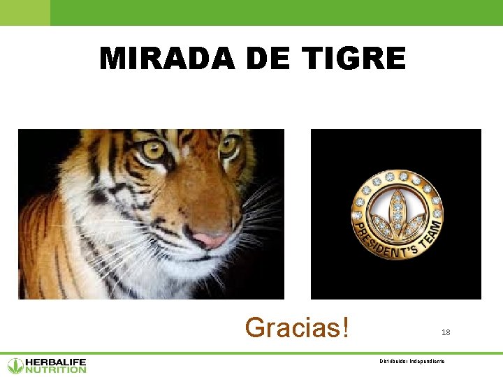 MIRADA DE TIGRE Gracias! 18 Distribuidor Independiente 