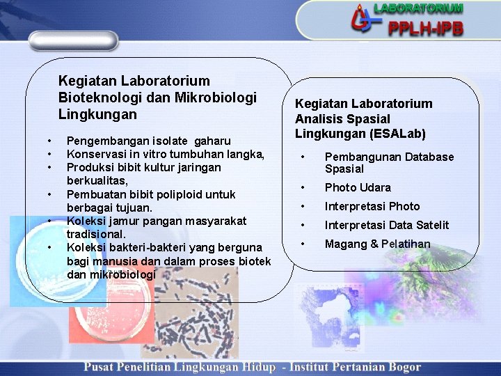 Kegiatan Laboratorium Bioteknologi dan Mikrobiologi Lingkungan • • • Pengembangan isolate gaharu Konservasi in