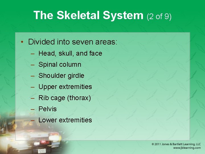 The Skeletal System (2 of 9) • Divided into seven areas: – Head, skull,