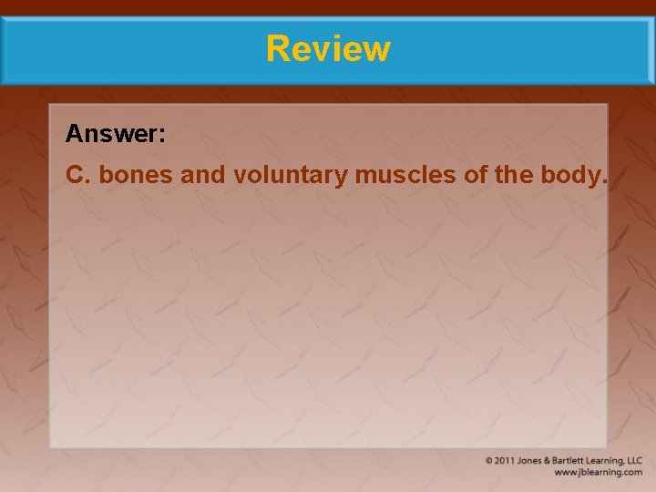 Review Answer: C. bones and voluntary muscles of the body. 