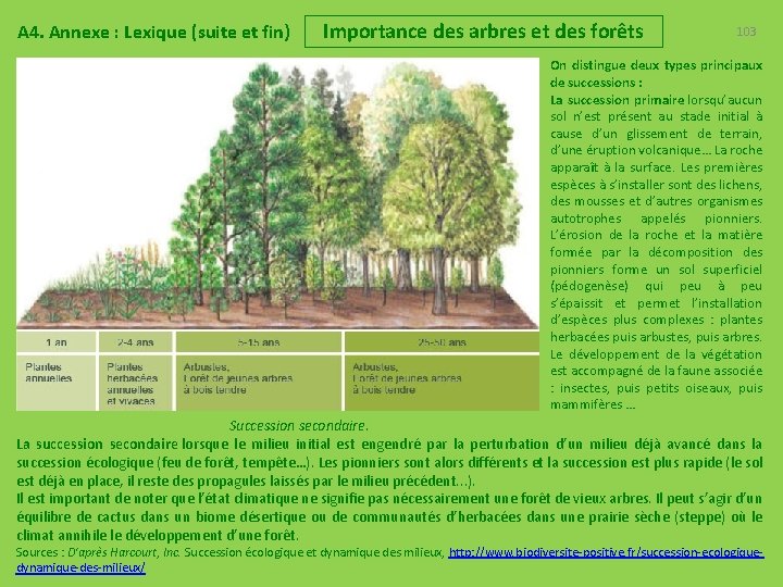 A 4. Annexe : Lexique (suite et fin) Importance des arbres et des forêts