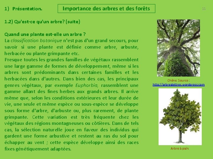 1) Présentation. Importance des arbres et des forêts 11 1. 2) Qu'est-ce qu'un arbre?