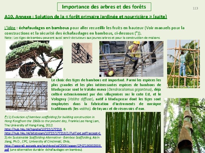 Importance des arbres et des forêts A 10. Annexe : Solution de la «