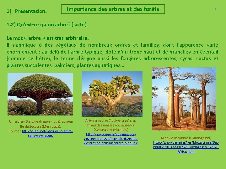 1) Présentation. Importance des arbres et des forêts 12 1. 2) Qu'est-ce qu'un arbre?