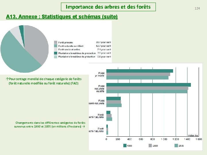 Importance des arbres et des forêts A 13. Annexe : Statistiques et schémas (suite)