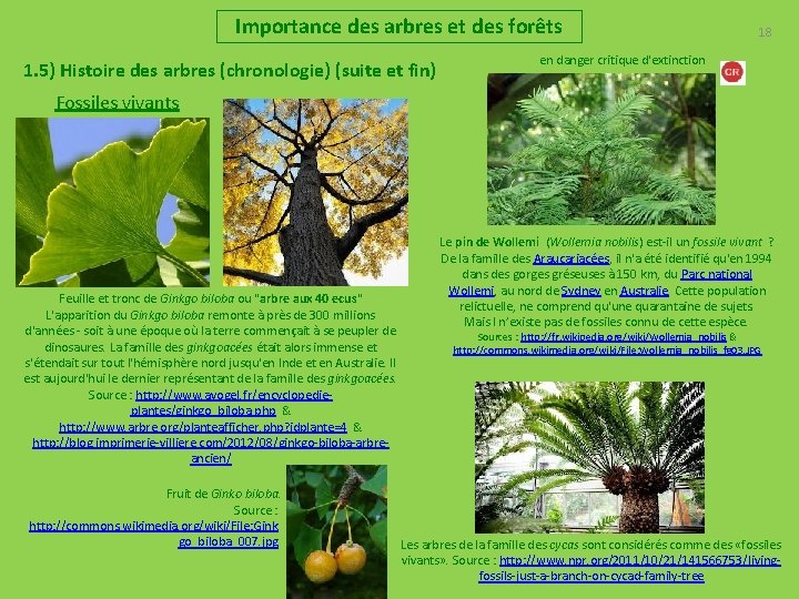 Importance des arbres et des forêts 1. 5) Histoire des arbres (chronologie) (suite et