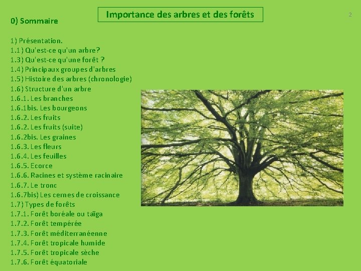 0) Sommaire Importance des arbres et des forêts 1) Présentation. 1. 1) Qu'est ce