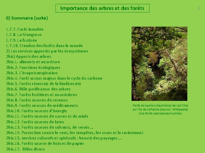 Importance des arbres et des forêts 0) Sommaire (suite) 1. 7. 7. Forêt inondée