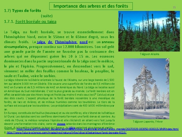 Importance des arbres et des forêts 35 1. 7) Types de forêts (suite) 1.