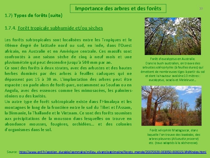 Importance des arbres et des forêts 39 1. 7) Types de forêts (suite) 1.