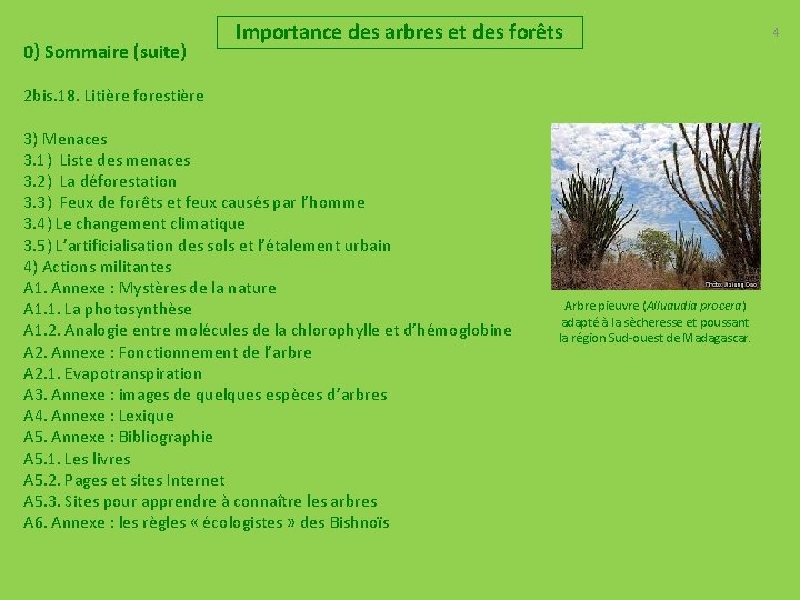 0) Sommaire (suite) Importance des arbres et des forêts 2 bis. 18. Litière forestière