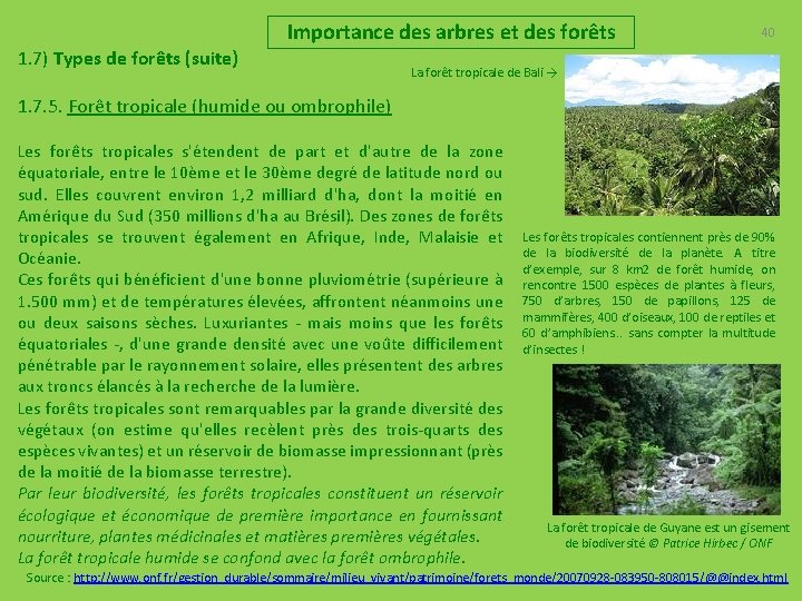 Importance des arbres et des forêts 1. 7) Types de forêts (suite) 40 La