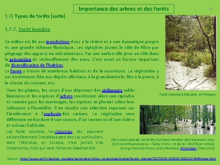 Importance des arbres et des forêts 42 1. 7) Types de forêts (suite) 1.