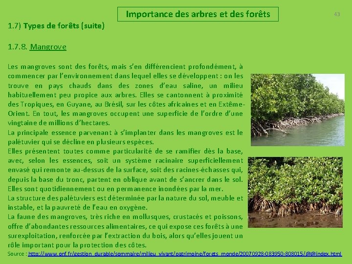 Importance des arbres et des forêts 43 1. 7) Types de forêts (suite) 1.