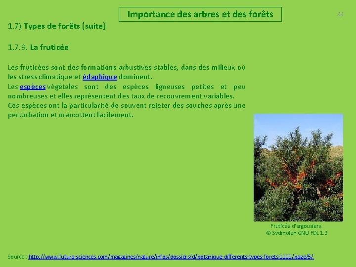 Importance des arbres et des forêts 1. 7) Types de forêts (suite) 1. 7.