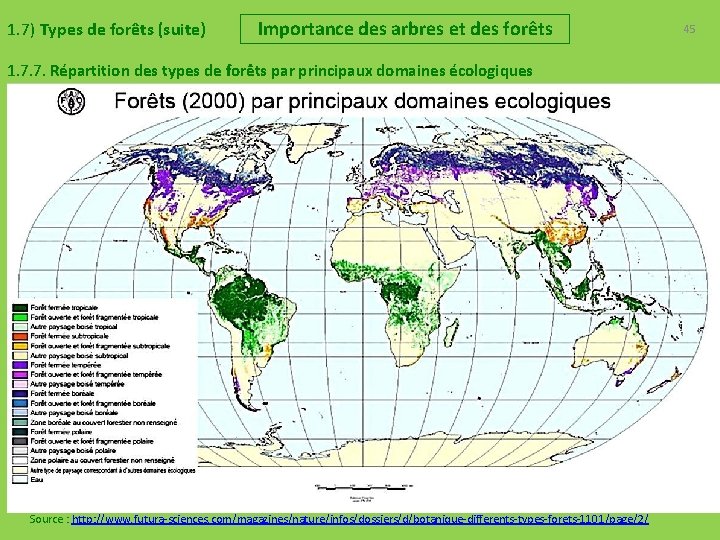 1. 7) Types de forêts (suite) Importance des arbres et des forêts 1. 7.