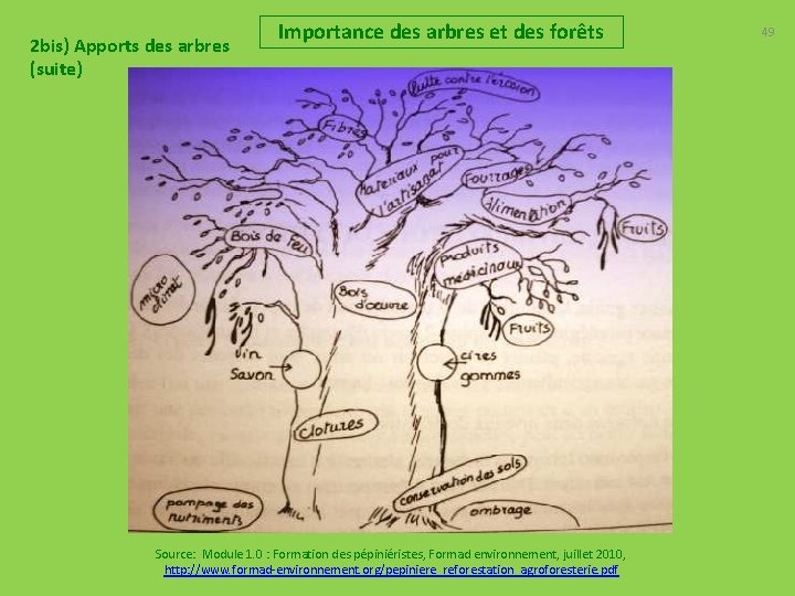 2 bis) Apports des arbres (suite) Importance des arbres et des forêts Source: Module