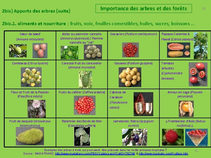 2 bis) Apports des arbres (suite) Importance des arbres et des forêts 51 2